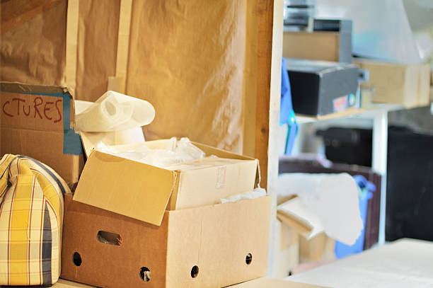 Best Professional Junk Removal  in Newton, IA